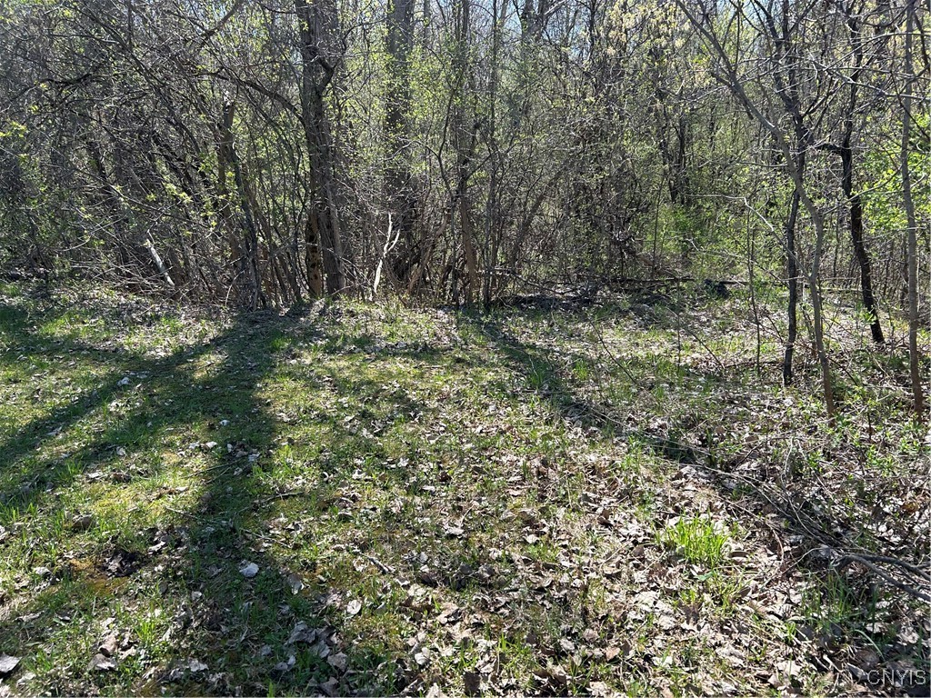 photo undefined: 0 Ridge Road, Watertown Town NY 13601