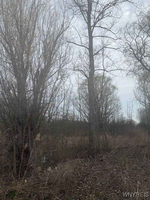 photo undefined:  Mapleton Road, Wheatfield NY 14120