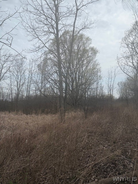 photo 2 :  Mapleton Road, Wheatfield NY 14120