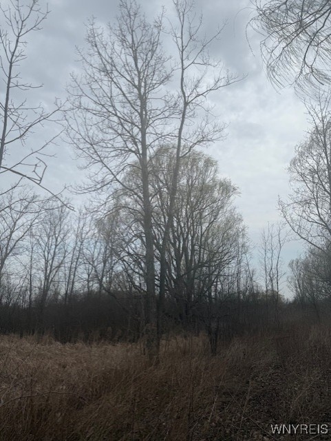 photo 3 :  Mapleton Road, Wheatfield NY 14120