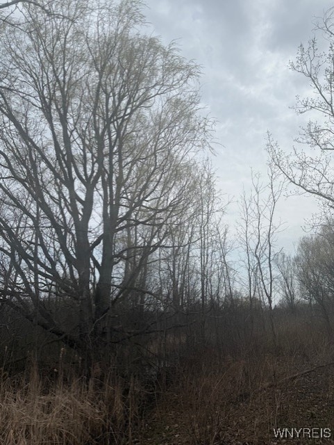 photo 4 :  Mapleton Road, Wheatfield NY 14120