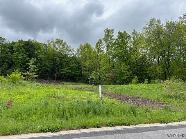 photo undefined: 4951 Big Vista Drive, Lewiston NY 14092