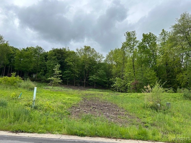 photo 3 : 4951 Big Vista Drive, Lewiston NY 14092