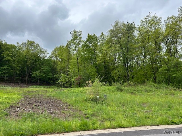 photo undefined: 4951 Big Vista Drive, Lewiston NY 14092