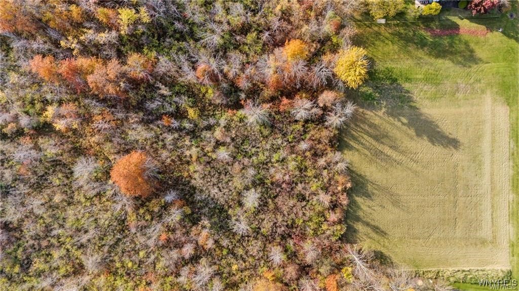 photo s8uXI0CiQEPu7E:  Oak Street, Porter NY 14174