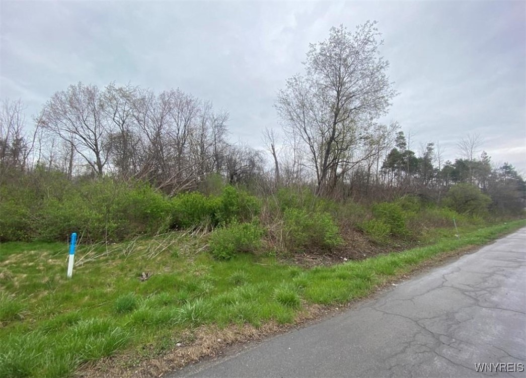 photo 0: VL Lake Shore Road, Hamburg NY 14085