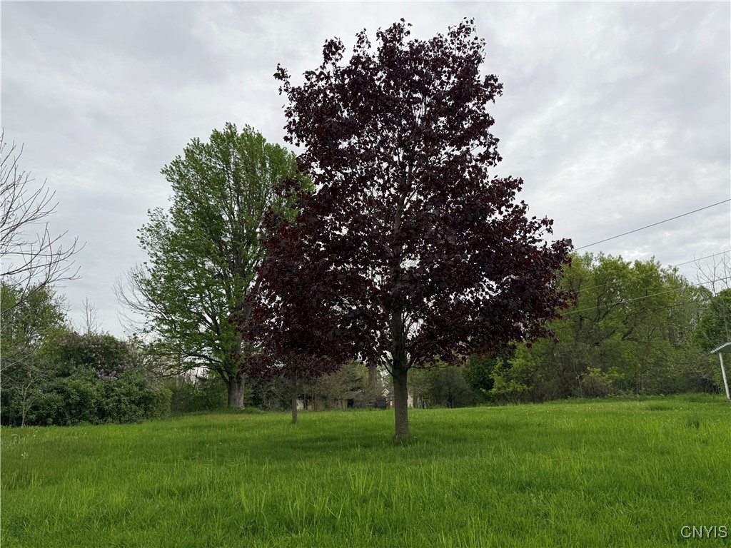 photo Vti6MjqRkx-IhxKuVjUWcFu: 226 Wealtha, Watertown City NY 13601
