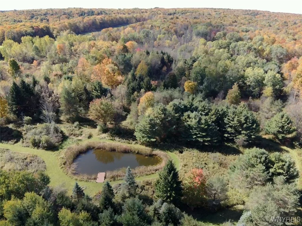 photo DoZ2BlA6X5DXgIh7SZjCstvM: 10070 Warner Gulf Road, Sardinia NY 14080