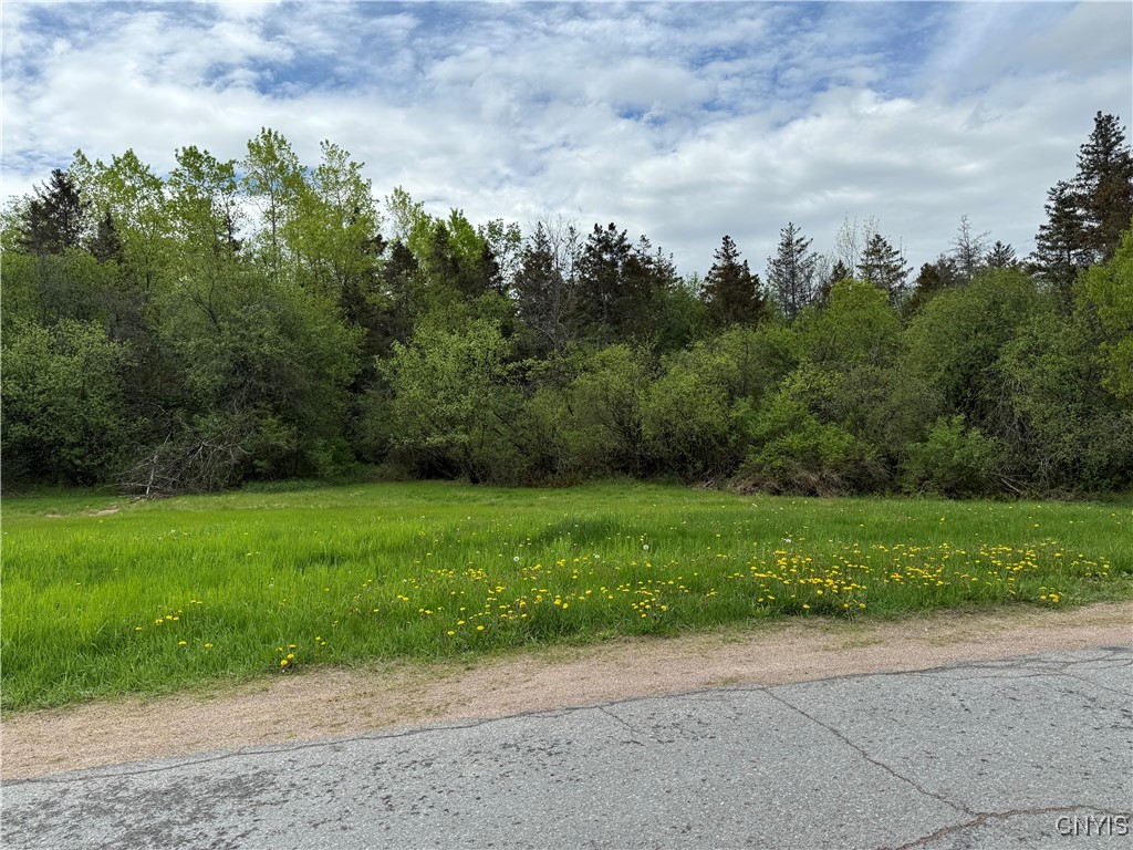photo undefined: 0 Spruce Crescent, Pamelia NY 13601