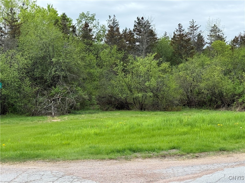 photo 2 : 0 Spruce Crescent, Pamelia NY 13601