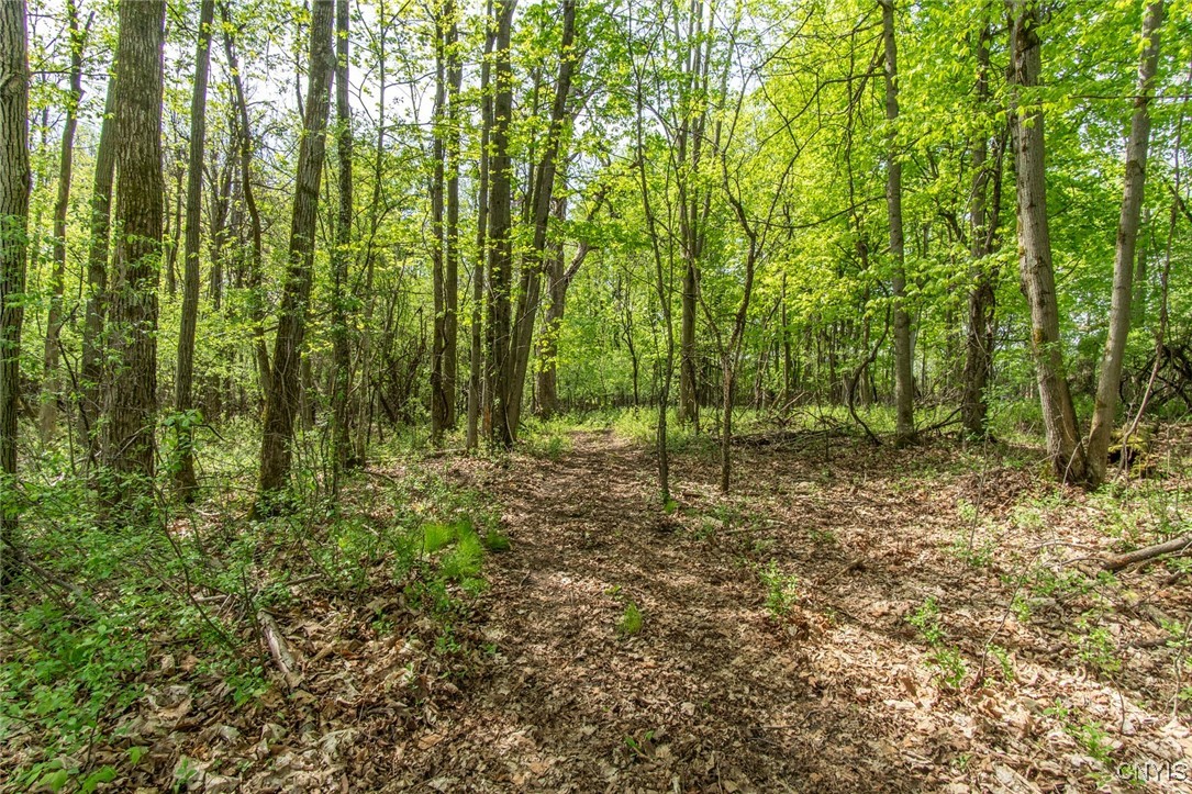 photo undefined: 21408 Gillette Road, Watertown Town NY 13601