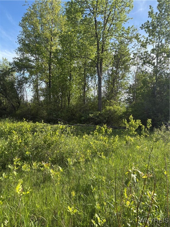 photo 2 :  Genesee Street, Alden NY 14004
