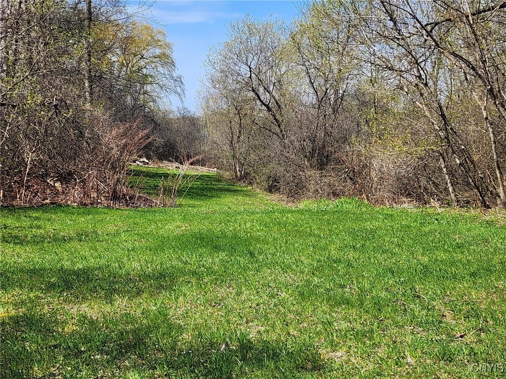 photo undefined: 0 Lincoln Street, Watertown City NY 13601