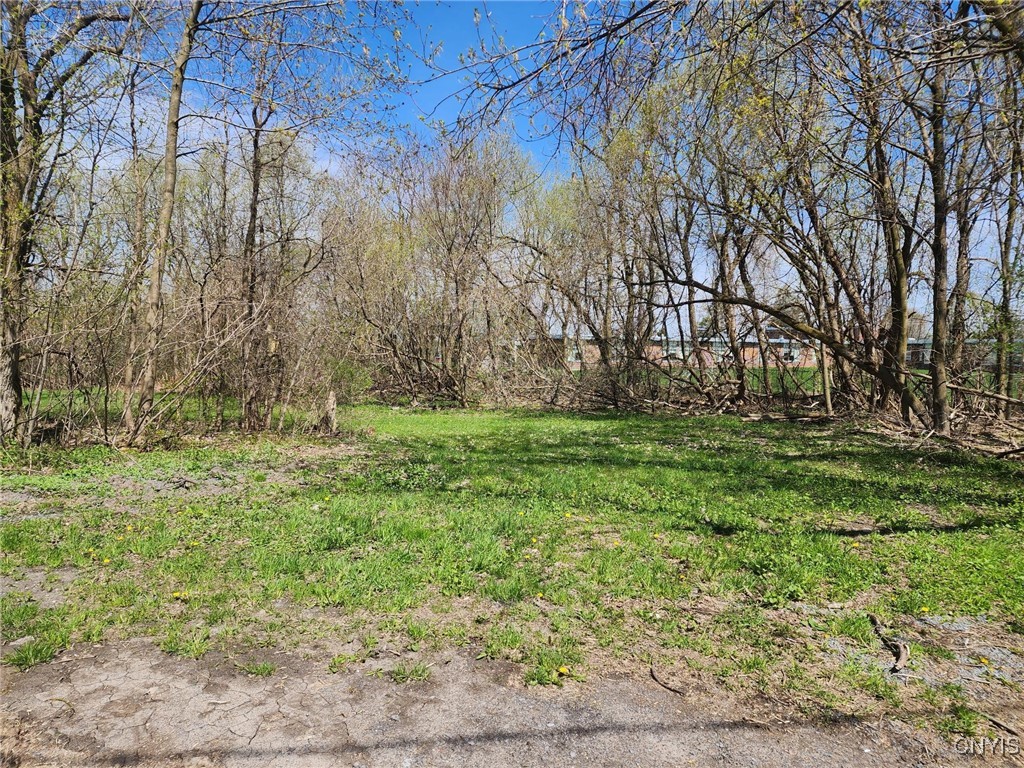 photo undefined: 0 Lincoln Street, Watertown City NY 13601