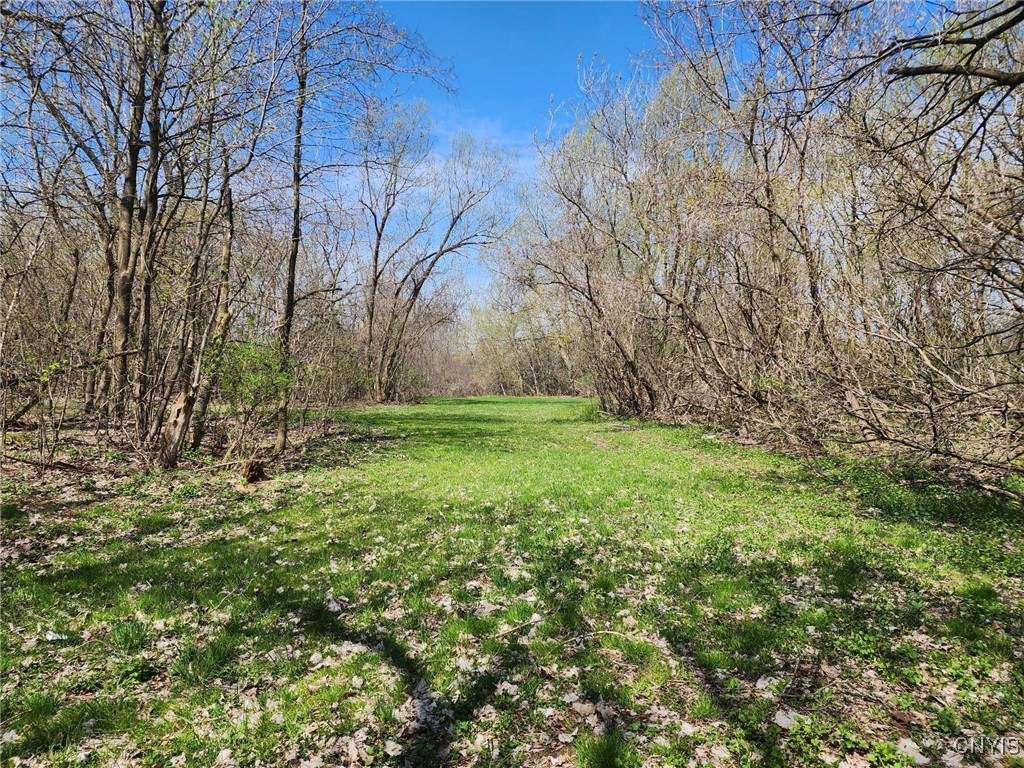 photo 3 : 0 Lincoln Street, Watertown City NY 13601