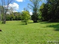 photo 0: 7423 Hayes Hollow Road, Colden NY 14170