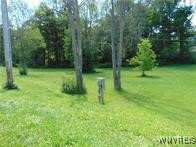 photo undefined: 7423 Hayes Hollow Road, Colden NY 14170