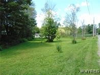 photo GgOvWuyStC3I: 7423 Hayes Hollow Road, Colden NY 14170
