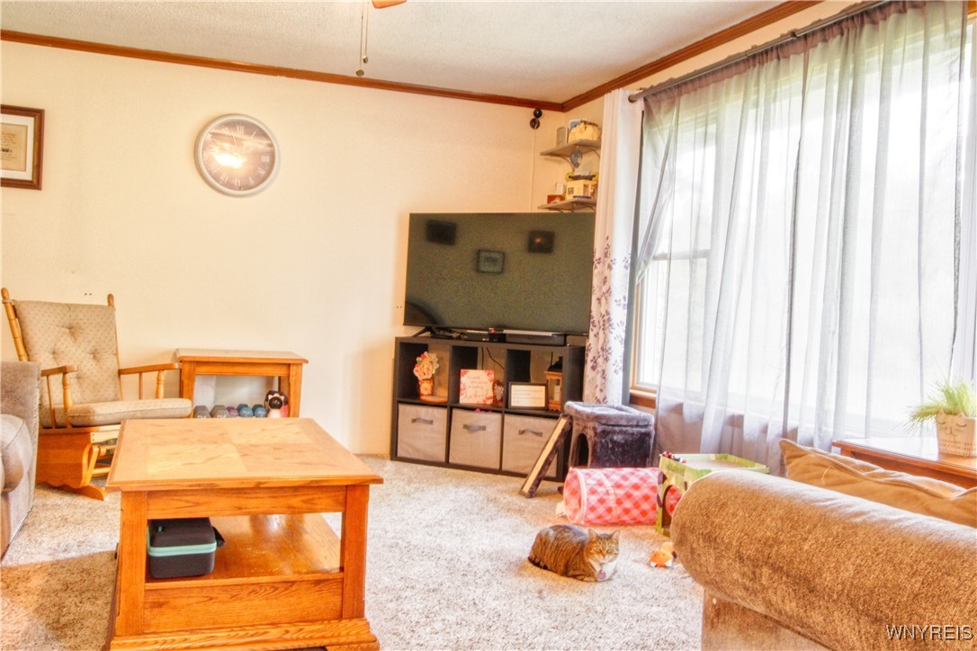 photo 1 : 8701 Stahley Road, Clarence NY 14051