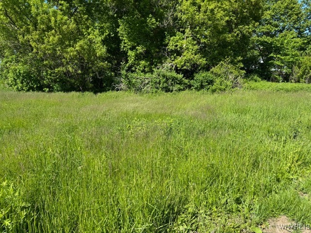 photo undefined: 7121 Gowanda State Road, Eden NY 14075