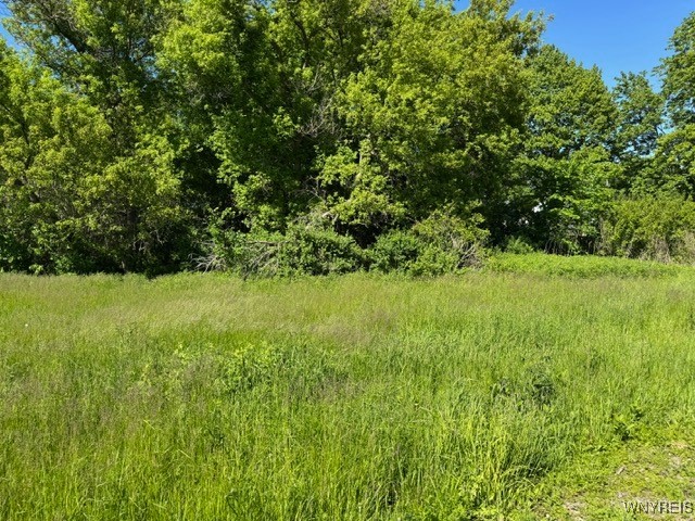photo undefined: 7121 Gowanda State Road, Eden NY 14075