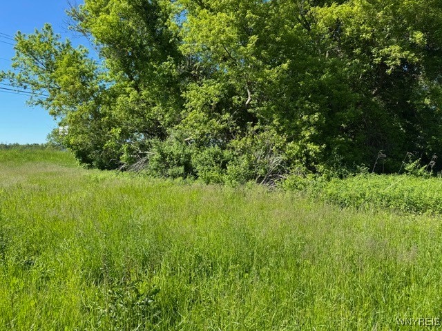 photo 2 : 7121 Gowanda State Road, Eden NY 14075