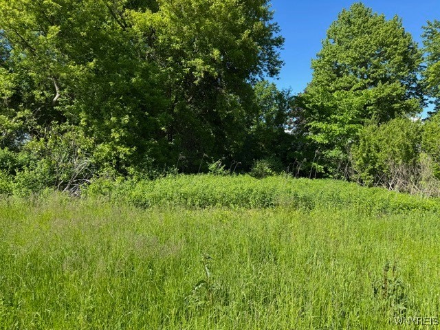 photo 3 : 7121 Gowanda State Road, Eden NY 14075