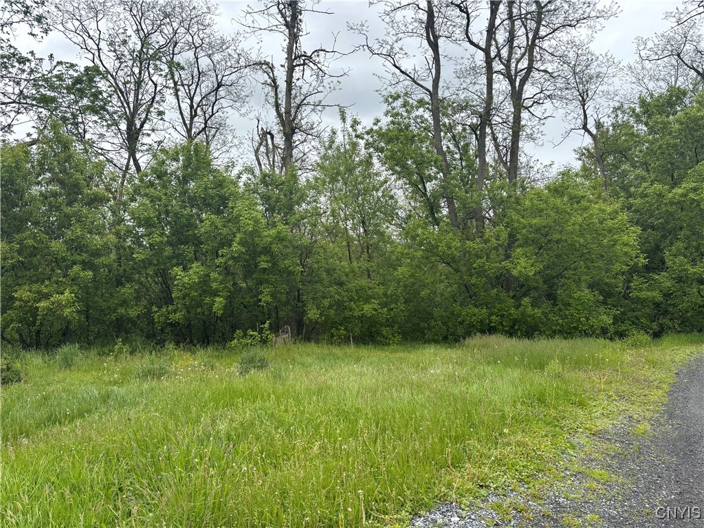 photo undefined: 131 Haven Street, Watertown City NY 13601