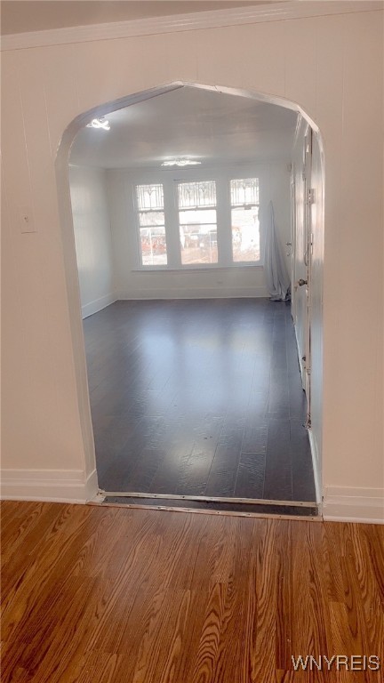 photo 4 : 455 Monroe Street, Buffalo NY 14212