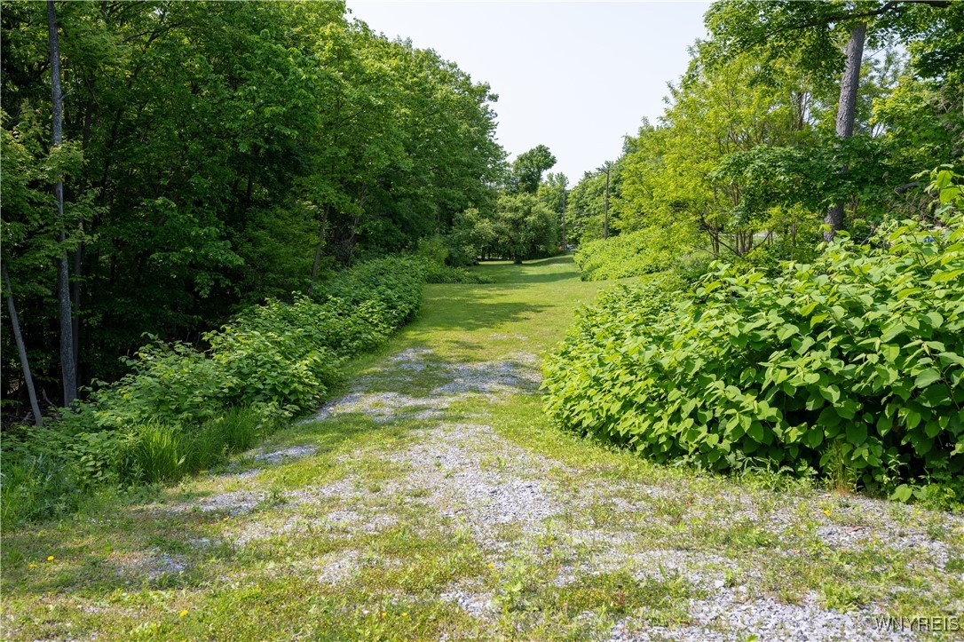 photo undefined: V/L Davis Road, Aurora NY 14170