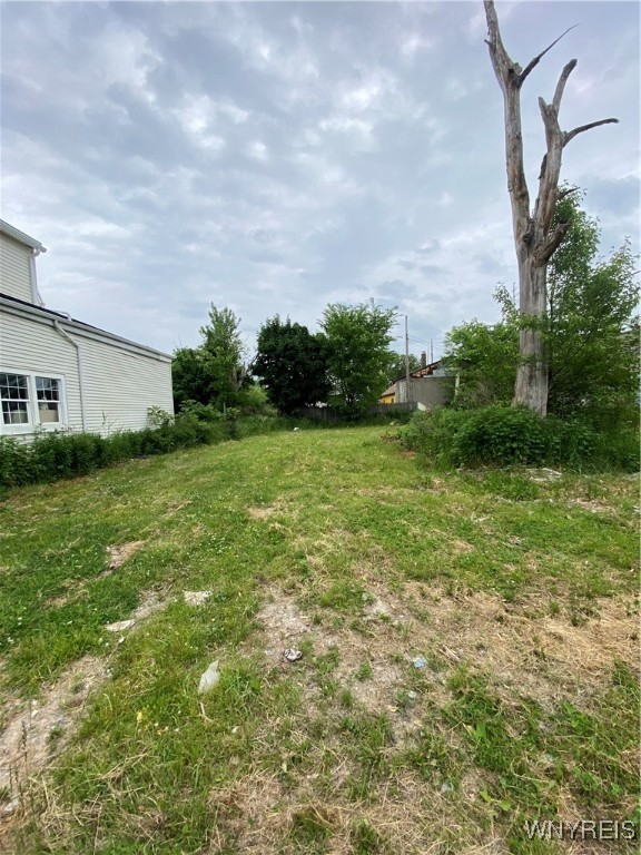 photo 2 : 99 Thompson Street, Buffalo NY 14207