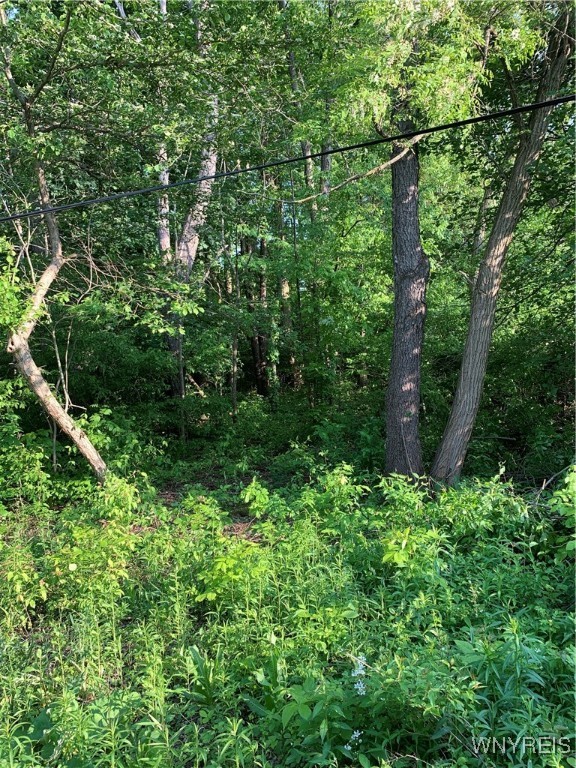 photo undefined: 715 Monroe Avenue, Evans NY 14006