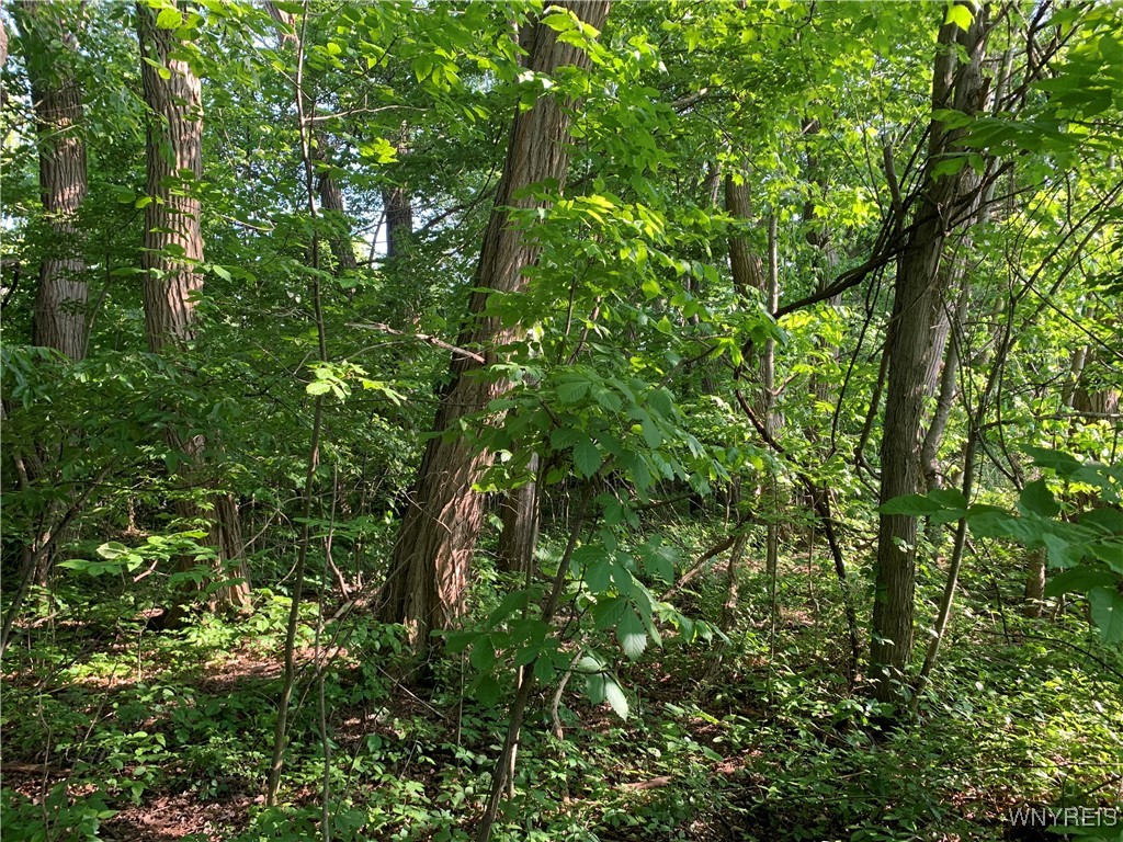 photo undefined: 715 Monroe Avenue, Evans NY 14006