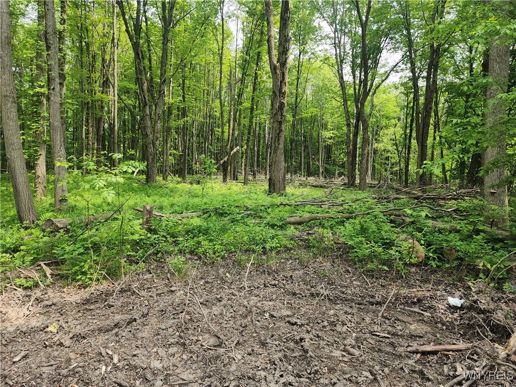 photo 0:  Lake Shore Road, Evans NY 14006