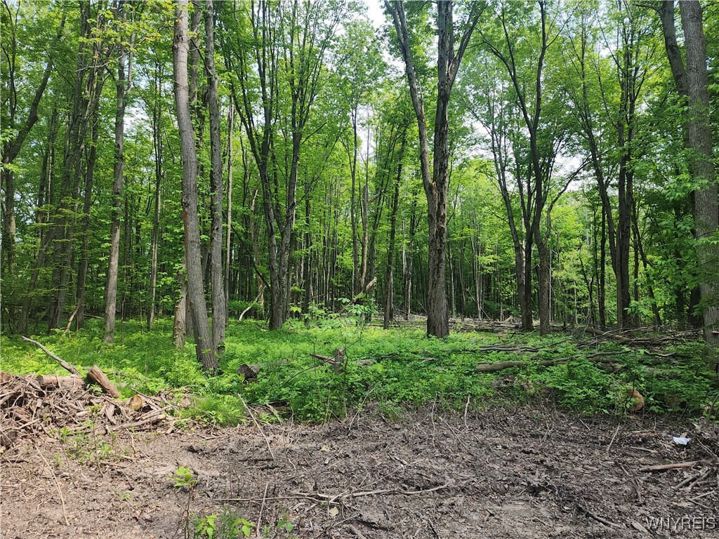 photo 1 :  Lake Shore Road, Evans NY 14006