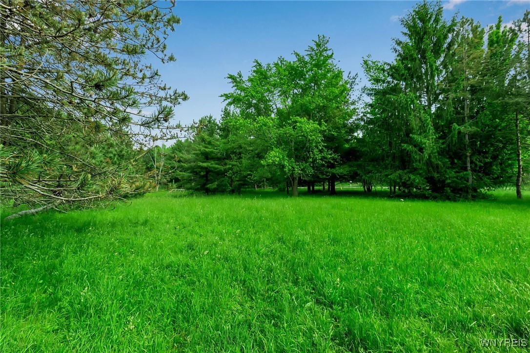 photo undefined: 1160 Underhill Road, Aurora NY 14052