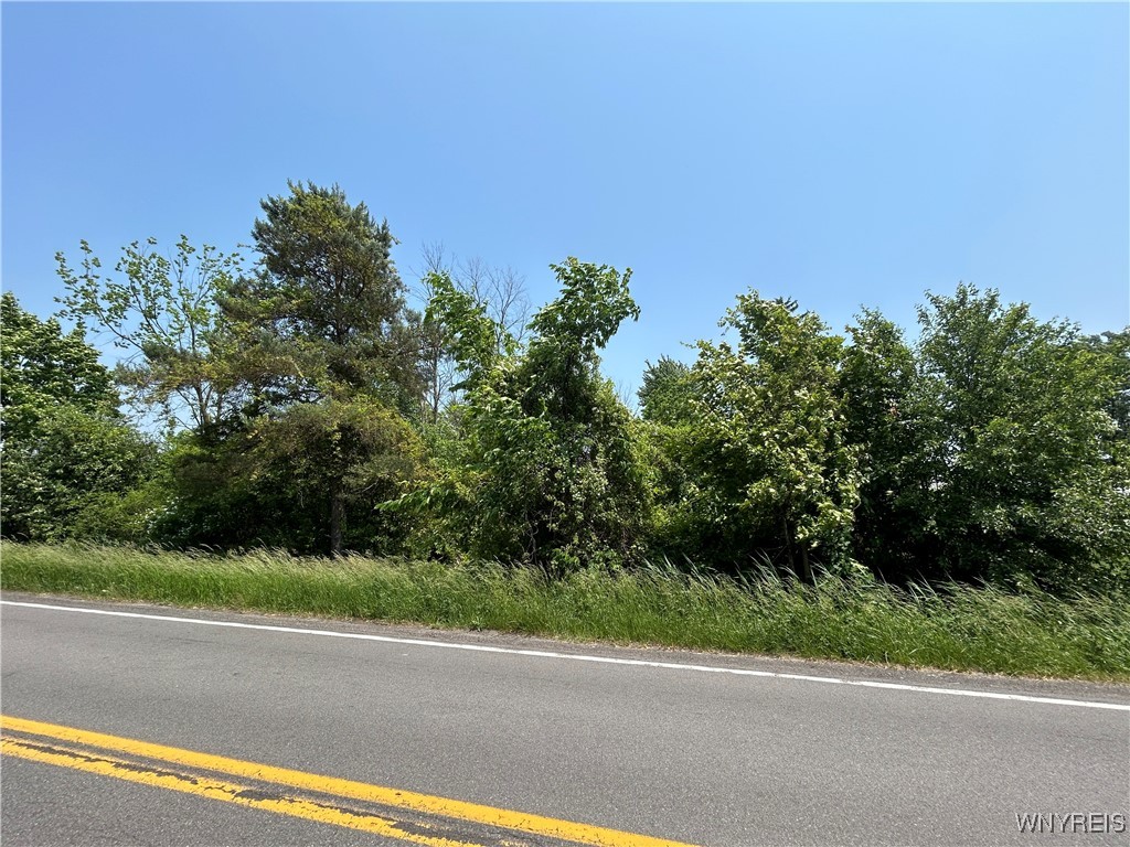photo j1JcmB: VL Porter Center Road, Lewiston NY 14092