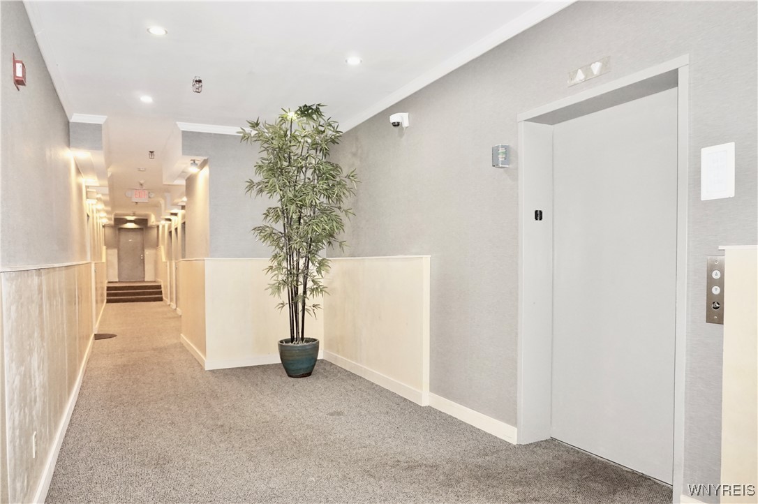 photo 2 : 125 Edward Street 3I, Buffalo NY 14201