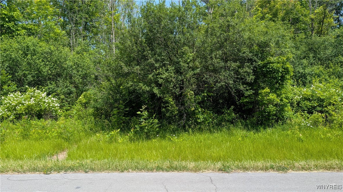 photo RUe8g: 981 Swann Road, Lewiston NY 14174