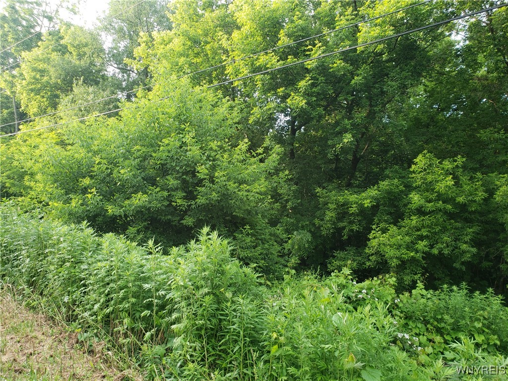 photo 2 : 3835 Chase Road, Hartland NY 14105