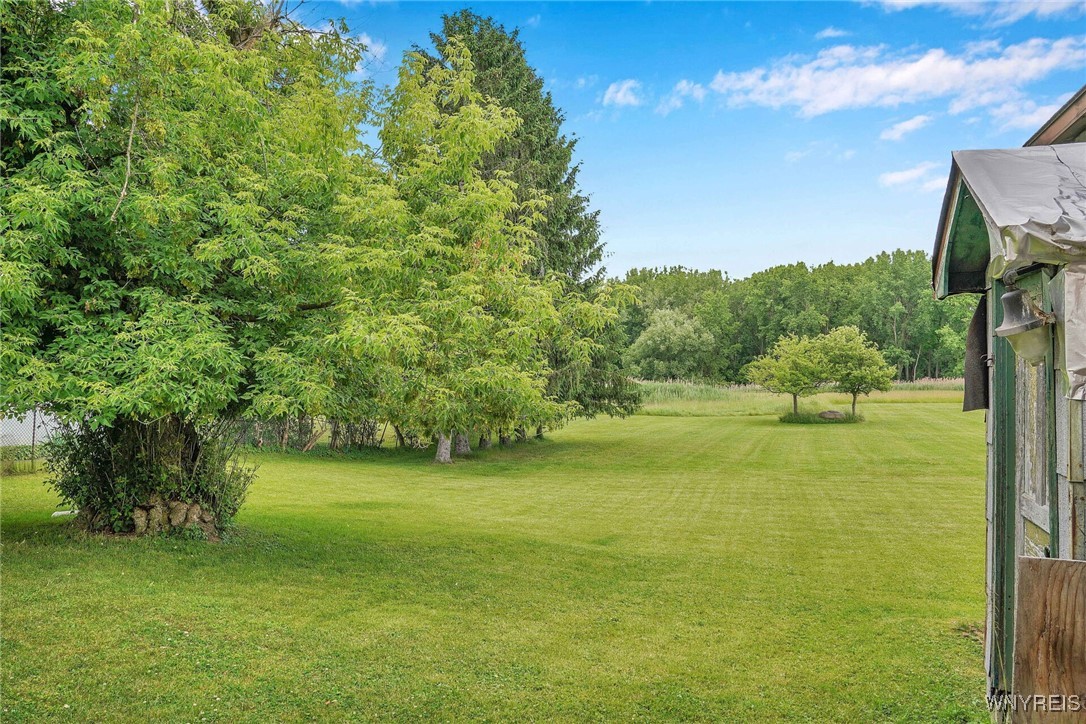 photo 3 : 464 Rowley Road, Cheektowaga NY 14043