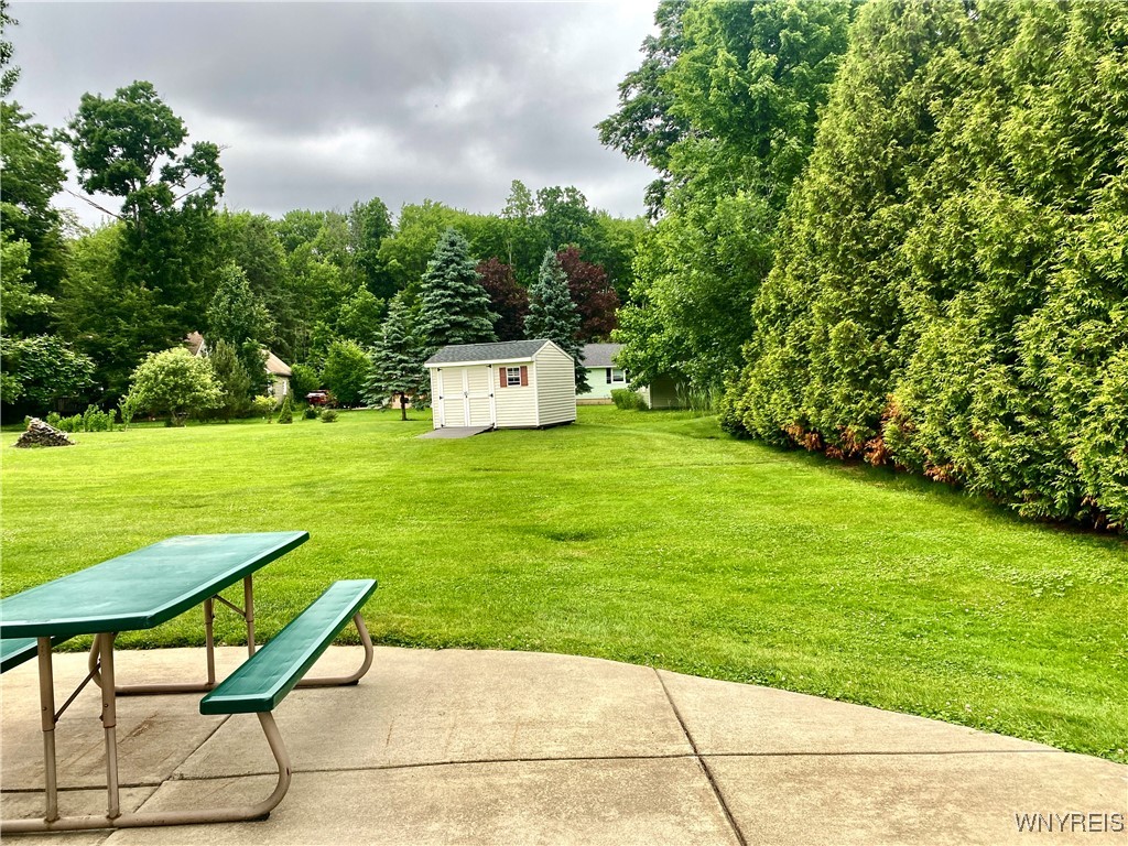 photo 4 : 3050 Hillbrook Drive, Eden NY 14057