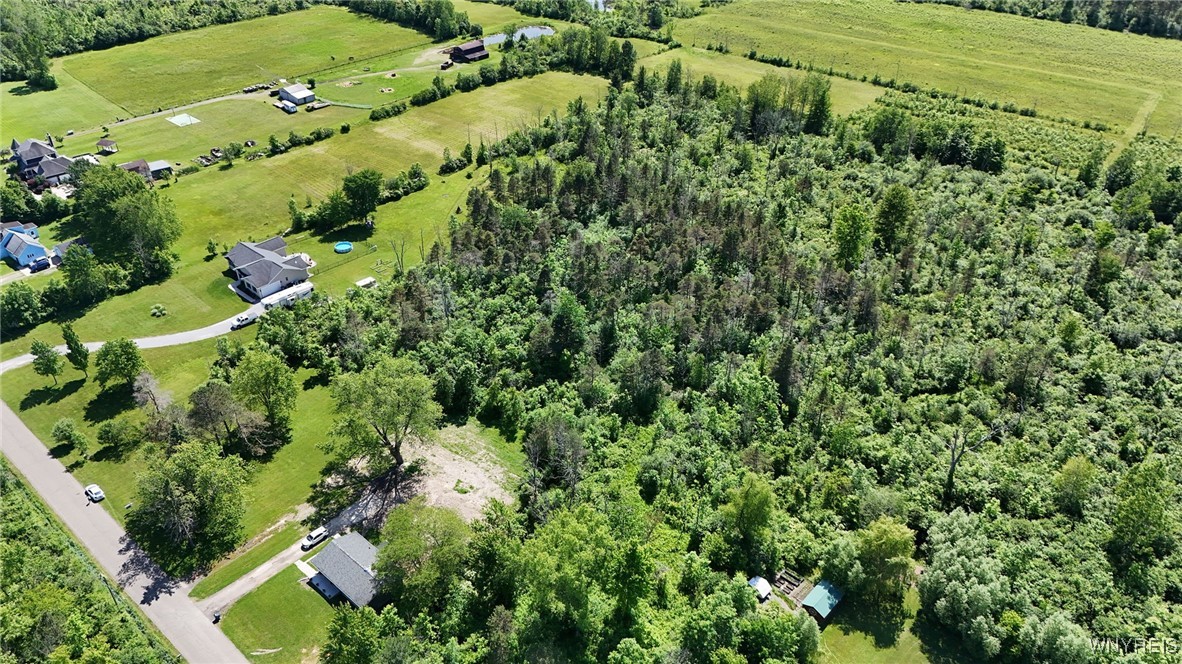 photo 4 : 7714 Decker Road, Evans NY 14047