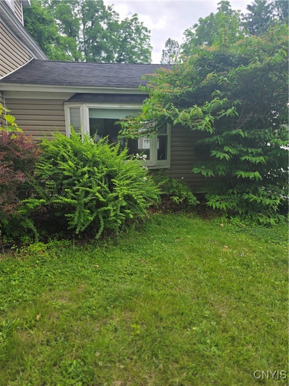 photo 2 : 259 Flower Avenue West, Watertown City NY 13601