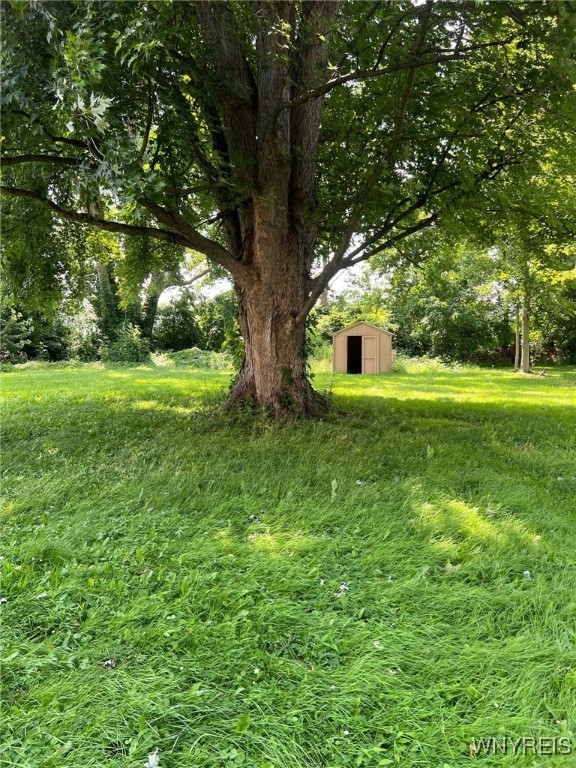 photo pswMIzo: 3980 Ridgelea Drive, Newfane NY 14094