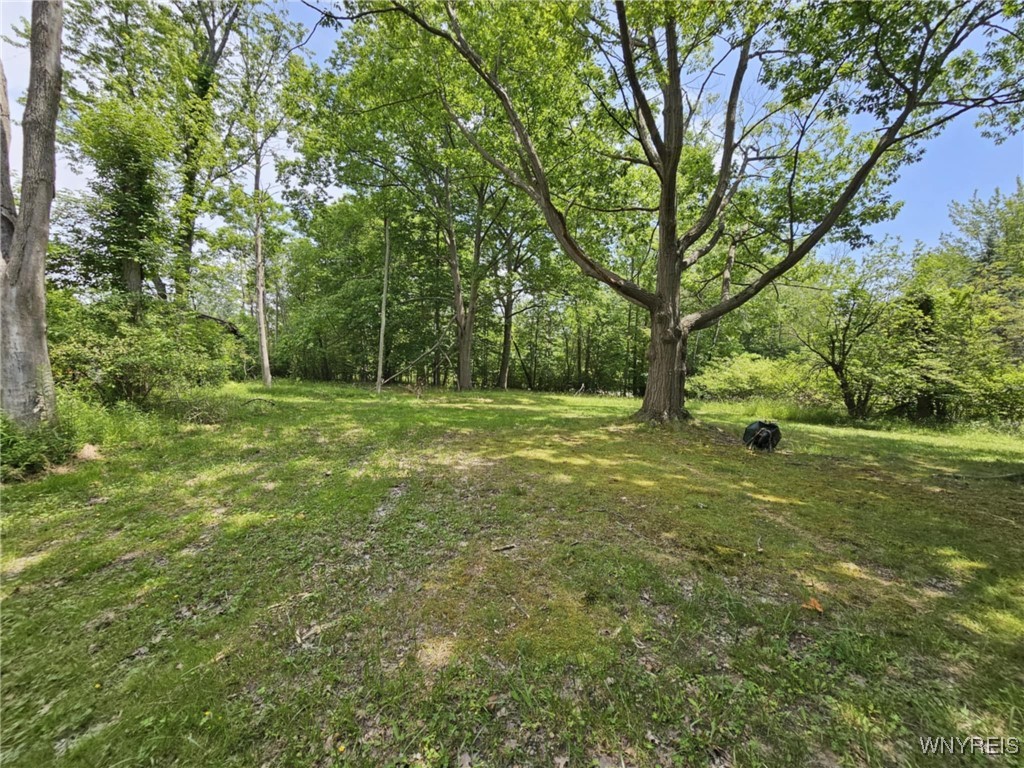 photo 3X32rAxYTihv-o4: 9465 Gray Street, Evans NY 14006