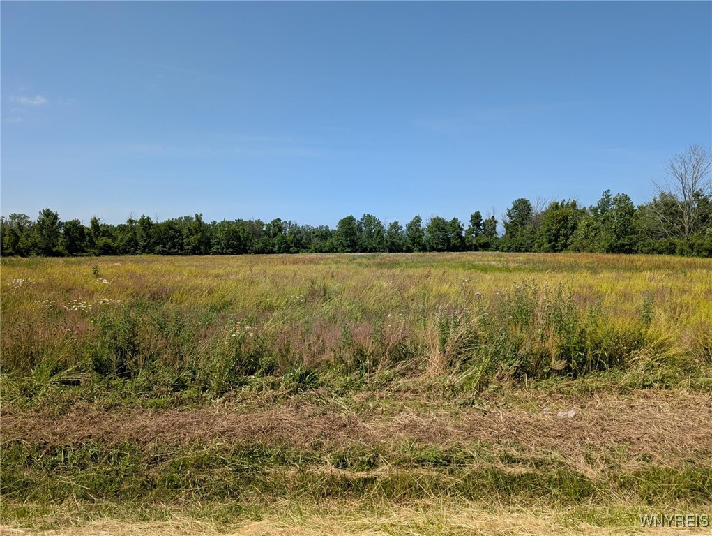 photo fs:  Coomer Road, Newfane NY 14108