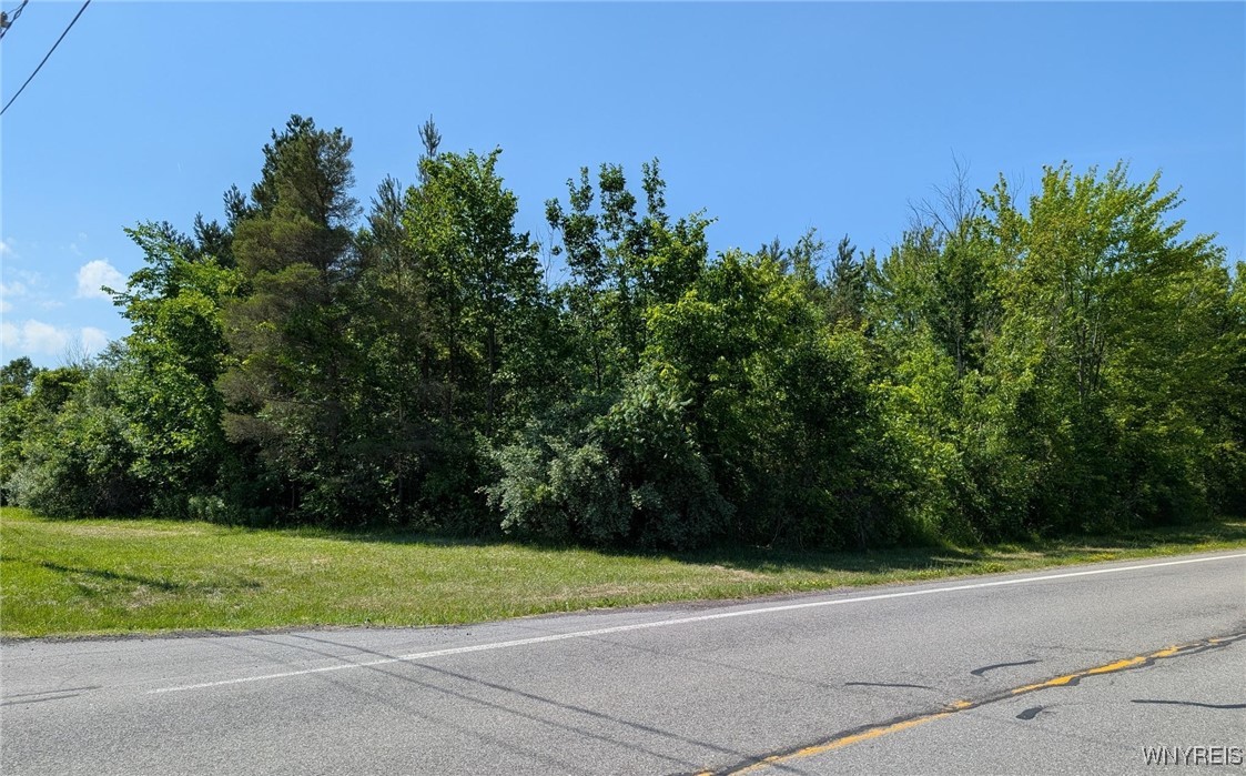 photo 4 :  Coomer Road, Newfane NY 14108