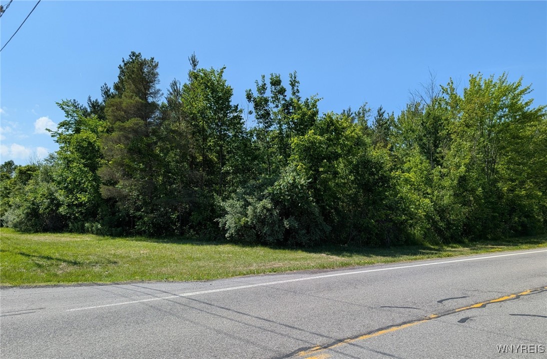 photo zSBqbJQCuBvA:  Coomer Road, Newfane NY 14108