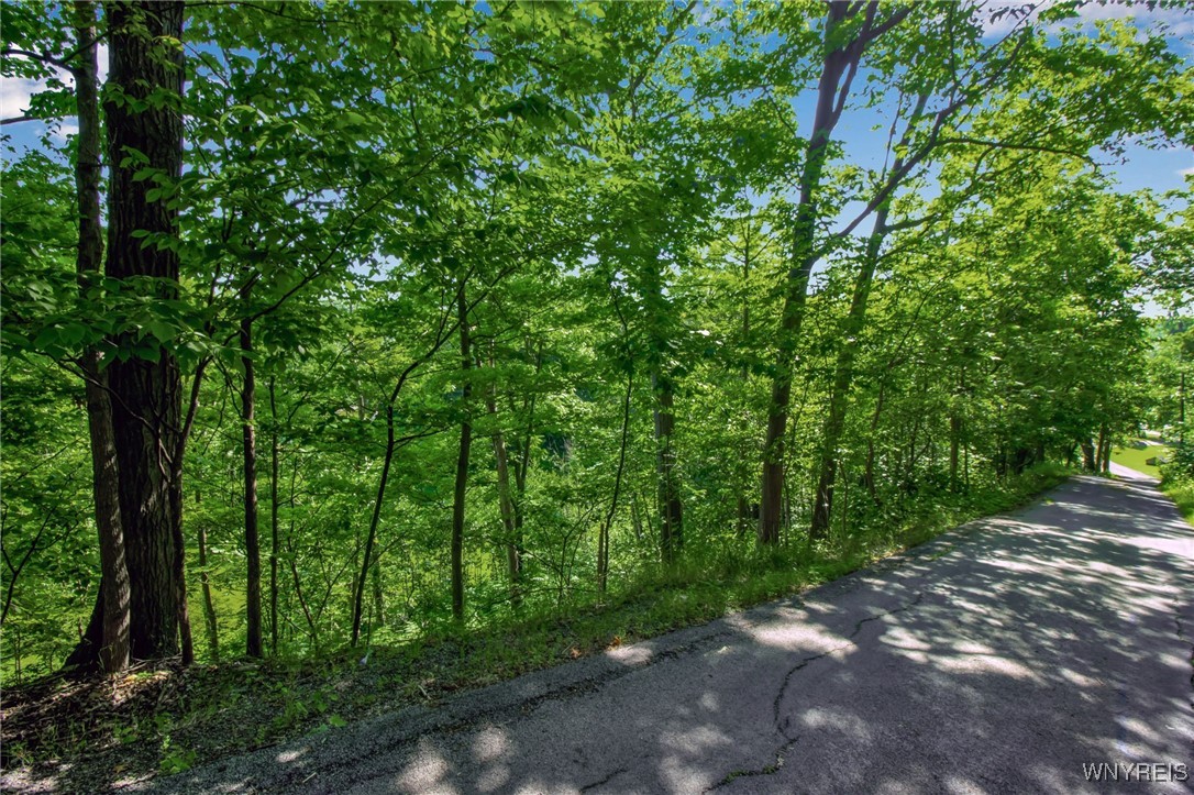 photo undefined: 555 Leydecker Road, West Seneca NY 14224